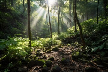 Sun rays filtering through trees in a dense forest. Generative AI