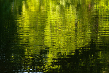 green background with reflection