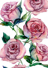 flowers in white background