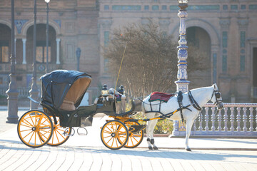 Horse carriage in seville spain for tourists. White horses and typical spanish horses. Travel and holiday concept.