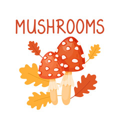 Inedible mushrooms in the autumn forest in cartoon style. Warm autumn vector illustratio of mushrooms and leaf fall. Two red grebes on the background of autumn leaves are isolated on a white.