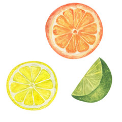 Watercolor fruits set. Oranje, lime and lemon slises. Hand drawn illustration isolated on transparent.