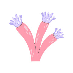 Cute sea coral in cartoon style. Multicolored sea anemones of the underwater world. Decorative coral for the aquarium. Vector stock illustration in flat style. Tropical waters fauna.