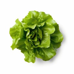 Lettuce leaf isolated on white background. Generative AI