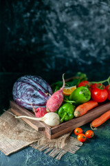 front view fresh vegetables radish tomatoes carrots and cabbage on a dark background health color vegetable food salad meal plant