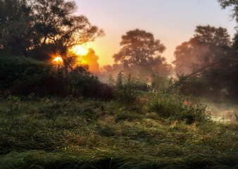 Nature, lake, forest, trees, water, sky, bushes,