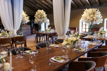 A general plan of a festive tables decorated with a white trees, chairs, plates, compositions of white flowers and candles. Wedding decoration and decor
