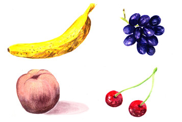 set of fruits and berries aquarelle