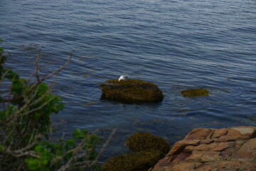 Around town in Bar Harbor, Maine
