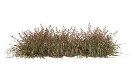 Various types of flowers grass bushes shrub and small plants isolated