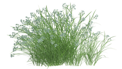 Various types of flowers grass bushes shrub and small plants isolated	

