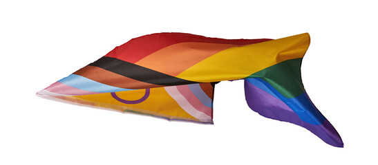 progress pride flag, transparent, banner format