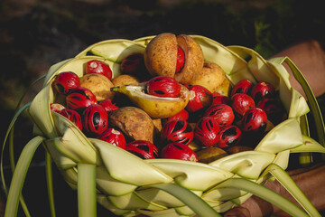 Nutmeg from Banda Island, Central Maluku, indonesia