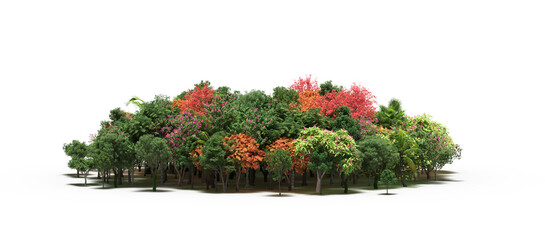Fototapeta premium group of trees with a shadow on the ground, isolated on a white background, trees in the forest, 3D illustration, cg render