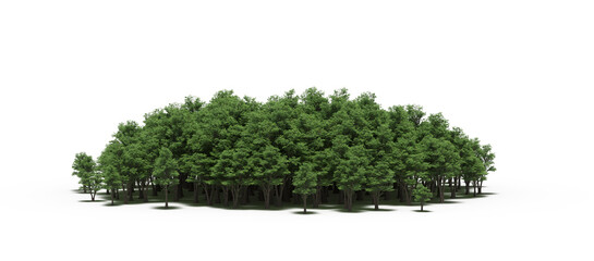 group of trees with a shadow on the ground, isolated on a white background, trees in the forest, 3D illustration, cg render