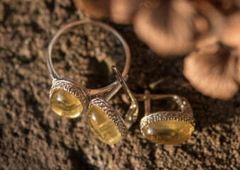 Ornaments created from natural material - amber. Hand-cut and inlaid with silver.