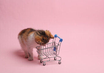 Little cute kitten with a supermarket trolley on a pink background. Humor, shopping concept, sale, discounts