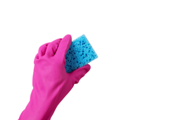 A hand in a pink rubber glove holds a blue  washing sponge isolated on transparent background
