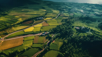Aerial shot of a long road surrounded by trees and fields. Generative ai
