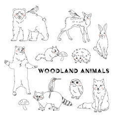 Woodland Animals, Cute line art, Doodle style drawings