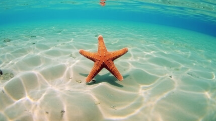 Fototapeta na wymiar Underwater in the ocean, there are starfish. Generative AI