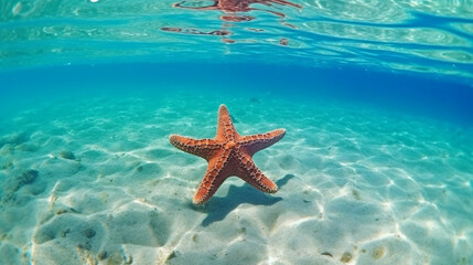 Fototapeta na wymiar Underwater in the ocean, there are starfish. Generative AI