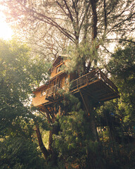 Dreamy treehouse on the woods