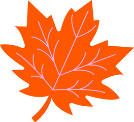 Orange maple leaf icon