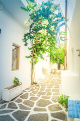 Naoussa typical small white street, small village on Paros island, Greece