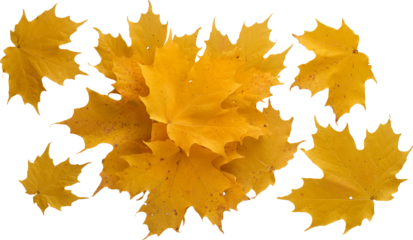 LAYER-LAB_1310191919_LC