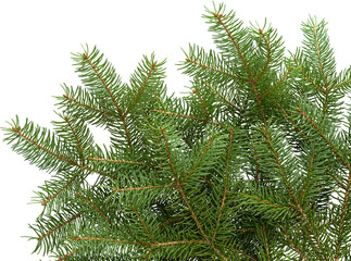 LAYER-LAB_1411183629_LC