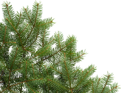 LAYER-LAB_1411183641_LC