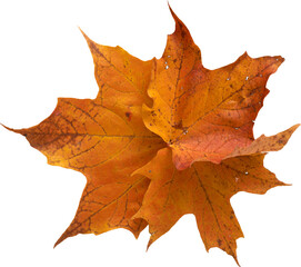 LAYER-LAB_1510192037_LC