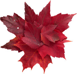 LAYER-LAB_1510192105_LC