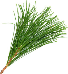 LAYER-LAB_1511183303_LC