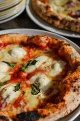 Italian style wood fired pizza with mozzarella and basil 