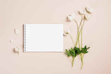 Anemone flowers, notebook blank mockup,  copy space.