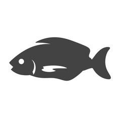 fish illustration