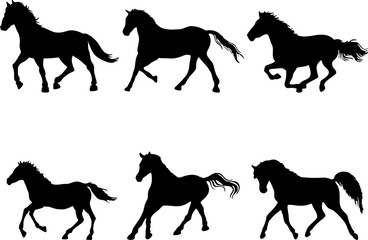 Gallop and pony running horses. Black silhouette of running horses. Mustang herd on white background. Side view to reuse in advertisement banner and poster of horse race.