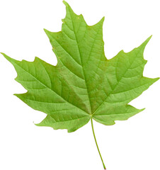 LAYER-LAB_1851817632_LC