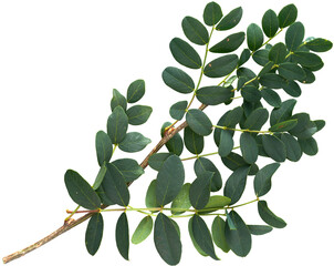 LAYER-LAB_2808184713_LC