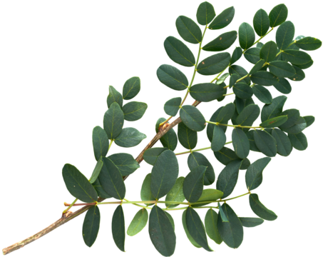 LAYER-LAB_2808184713_LC