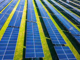 Solar power plant rows at sunset in the green grass. Farm producing clean electrical energy from...