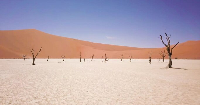 4K Aerial drone footage of dead acacia trees in Deadvlei. Dry clay pan with red desert sand dunes in Sossusvlei or Sesriem in Namibia. Namib Desert and Big Daddy dune. Cinematic High quality footage.