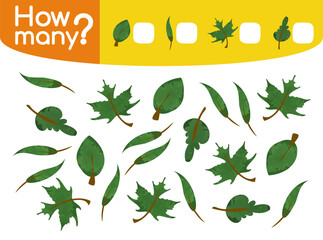 Counting game with green leaves for preschool children. Educational game. Count how many leaves by types and write the result. Vector illustration isolated on white background