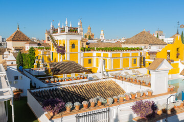 Fototapeta premium Aerial view of the Santa Cruz neighborhood in Seville, Spain, in a Beautiful sunny day. From a vantage point high above, the photograph captures the mesmerizing view of the rooftops in the enchanting 