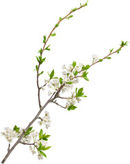 LAYER-LAB_1751817305_LC