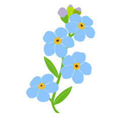 Illustration of blue flowers with buds and leaves without background