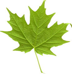 LAYER-LAB_2105196340-04_LC