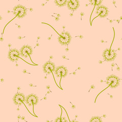 Dandelion background your design. Abstract floral seamless pattern.